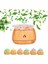 Hava Nemlendirici Tuz Lambalı Tuz Hediyeli Humidifier 200 ml Salt Lamp Ultrasonik Gece Lambası VK-BHU01 VK-8956989799 1