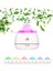 Hava Nemlendirici Tuz Lambalı Tuz Hediyeli Humidifier 200 ml Salt Lamp Ultrasonik Gece Lambası VK-BHU01 VK-89569897100 2