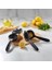 Home Döküm Limon Sıkacağı Limon Presi Büyük Boy 24cm, Siyah Metal Limon Sıkacağı, Döküm Naranciye Sıkacağı 3