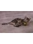 Yavru Kedi Oyuncağı, Hışırtılı Top, 4 Adet, 5cm Zrnet 5