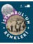 Istanbul Un Renkleri 1