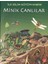 Ilk Bilim Kütüphanem - Minik Canlılar 1
