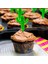 Flexilab Kaktüs Temalı Pasta Cupcake Süsleme Kürdanı 10'lu Parti Süsleri 1