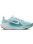 W Aır Zoom Pegasus 41 Mavi Kadın Koşu & Antrenman Ayakkabısı FD2723-401 1