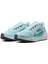 W Aır Zoom Pegasus 41 Mavi Kadın Koşu & Antrenman Ayakkabısı FD2723-401 2