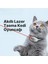 Akıllı Lazerli Tasma Kedi Oyuncağı Egzersiz Oyuncağı Kedi Tasması 1