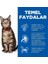 Hills Adult Kuzu Etli Yetişkin Kedi Maması 8+2 kg 3