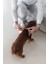 Köpek Göğüs Tasması, Neopren, Mavi, S, 38-44CM Zrnet 2