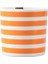 Funky Orange Bardak 230CC 3
