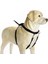 Köpek Yürüyüş Eğitim ve Düzeltme Tasması, Xl Zrnet 1