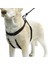 Köpek Yürüyüş Eğitim ve Düzeltme Tasması, Xl Zrnet 3
