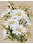 Kanaviçe Etamin Kiti (Iplik, Iğne, Kumaş) 15,5*20 cm B289 1