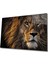Aslan 11 Cam Tablo 1