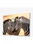 Zebra Hayvan Cam Tablo 4mm Dayanıklı Temperli Cam 1
