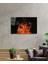 Ateş Cam Tablo 2
