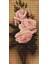 Kanaviçe Etamin Kiti (Iplik, Iğne, Kumaş) 11*25 cm G455 1