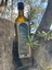 Idayvalık Naturel Sızma Zeytinyağı Premium 1 Lt 2