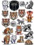 Kaplan Sticker Set 2 1