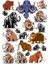 Mamut Sticker Set 1
