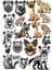 Çakal Sticker Set 1