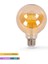 LED Rustik Flamanlı Ampül 6W G95 E27 - BB47-00620 2