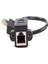 RJ45 Cat5 Cat6 Dişi Erkek Çevirici Koruyucu Adaptör 2