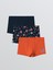 Lcw Kids Baskılı Erkek Çocuk Boxer 3'lü (S5) 1