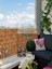 Dekoratif Doğal Bambu Kamış Hasır Bahçe Çiti- Gölgelik Hasır -Balkon -Tavan Dekorasyon 1