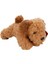 Cockapoo Peluş Köpek 25 cm 1