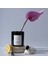 And Candle Cuisine El Yapımı Soya Mumu, Mystic Onyx Kokulu Siyah Cam MUM, Vegan, Eco-Friendly | 300 gr - 11OZ 1