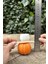 Concept Pumpkin Orta Boy Mum Kalıbı (Silikon) 3