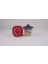 Renkli Limon Sikacagı (Red) 2