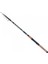 Kamış Scorpion 1