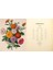 Complete Language Of Flowers: A Definitive And Illustrated History: Volume 3 2
