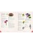 Complete Language Of Flowers: A Definitive And Illustrated History: Volume 3 3