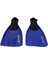 Npl-Sea-40-41 Sea Star Palet 1