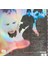 20TH Anniversary Evanescence Fallen (2 Plak) 2