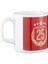 Galatasaray 25.şampiyonluk Mug U251413 2