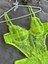 Çiçek Desenli Yeşil Bodysuit 2