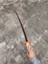 Rengoku Katana 3