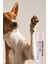 Köpek Pati Stick 5 ml 4