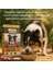 Beta Premium Köpek Maması Kuzu ve Pirinç 15KG Kaliteli Mama 2