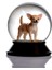 Cam ve Reçine Altın Patiler Köpek Chihuahua (Kayısı) Kar Küresi Hediye 2