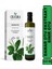 Damar Otu Sıvı Ekstrakt Karışımı 225 ml Sinir Otu 1