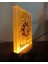 Kişiye Özel Isimli Sarı Kırmızı Aslan Taraftar Dekoratif LED Lamba M1 Kablolu Amber LED 3
