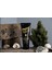 Instant Beard Darkening Cream - Sakal Koyulaştırıcı Bakım Kremi 100 ml 3