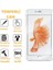 iPhone - 6s Plus / 7 Plus / 8 Plus Için Ekran Koruyucu Hd Netlikte 9h Temperli Ekran Koruyucu Cam (2'li Paket) 3