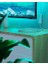 Essentials Lightstrip Starter Kit, 2 M Smart Rgbw LED Şerit - Thread & Bluetooth 16 Milyon Renkli LED Şerit, Müzik ve Ekran Senkronizasyonu, Google Home Apple ile Çalışır, Dekorasyon ve Oyun 3