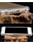 iPhone 7/8/se 2020/SE 2022 Uyumlu Darbe Önleyici Sararmaya Dayanıklı Airbag Korumalı Ultra Slim Tpu Şeffaf Silikon Kılıf (Şeffaf, iPhone 7/8/se 2020/SE 2022) 2