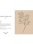 An Illustrated Guide To The Victorian Language Of Flowers: An Illustrated Guide To The Victorian Language Of Flowers Volume 1 3